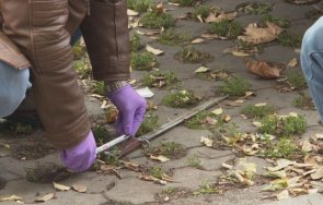 почина мъжът беше намушкан строителния бизнесмен рецидивист