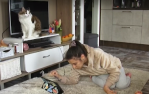 скандално решение годишно момиче церебрална парализа остана без пенсия личен асистент