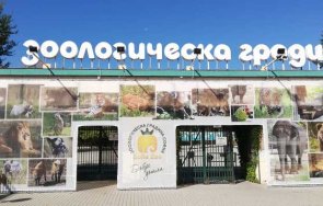 софийската зоологическа градина очаква членство евросъюза зоопарковете