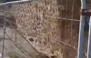 активира свлачище морската градина бургас