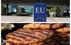 Плеставици Калотина