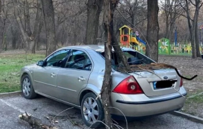 клон потроши кола пловдивски парк падна метър баща дете