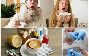 грипът пали епидемии връхлетя дарвин вирусите повалят близо 4000 души седмица