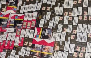 митничари спипаха цигари седалки снимки