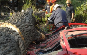 стара загора размина косъм голяма трагедия
