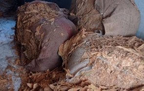 разбиха цех контрабанден тютюн пловдив снимки