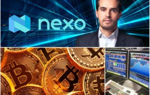 срив nexo спад печалбите българската акция