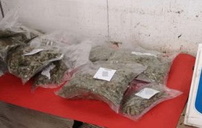 иззеха канабис резервна гума кола капитан андреево