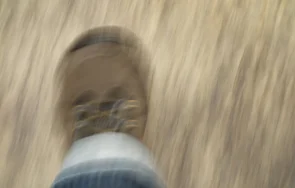 разпознаем болестта новото време