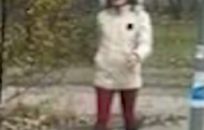 пропищяха хора пострадали внезапните нападения жена столичния квартал младост