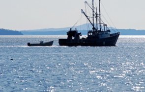 източиха 200 литра гориво риболовен кораб каварна