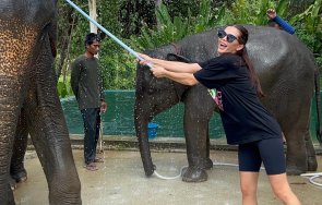 преслава цъфна сватба тайланд видео