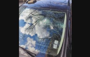 сигнализират нападения павета коли столичния дружба