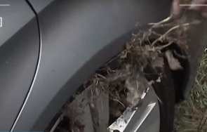 кола превърна ферма охлюви паркинг мвр арестуваха