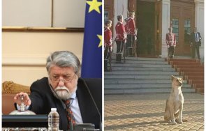 Жалкият край на единствения войнолюбив парламент в историята на България - дори кучето заряза депутатите на изпроводяк