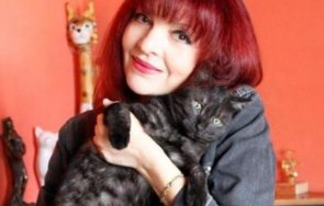 садисти стрелят котките джина иванова трамвай