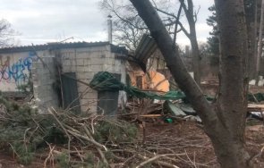 фандъкова наложи глоба хил лева заради сеч дървета борисовата градина