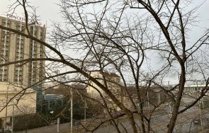 пик небето софия притъмня духа силен вятър заваля дъжд снимки видео