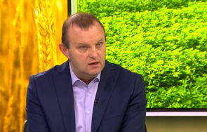 контрабанда пресечена гкпп капитан андреево