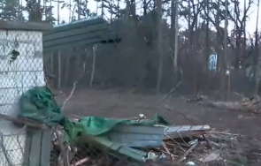 проверяват незаконната сеч борисовата градина софия