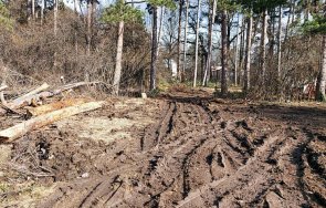 прокуратурата започва проверка незаконната сеч борисовата градина