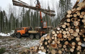 страх фалити дървообработващата мебелната промишленост