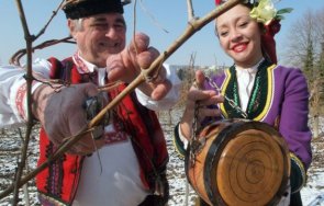 ден виното традиция зарязват лозята