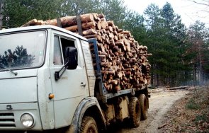 ужасно нелепо работник загина затиснат ремарке тервел