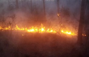 пет екипа пожарникари борят бушуващ огън пловдивско снимки