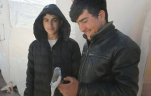 папагалче спаси семейство земетресенията турция