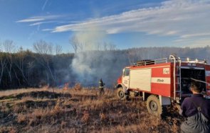 стотици декари гори лозя градини унищожил пожарът хасарско