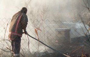 пчелар обгоря опит спаси кошерите пожар