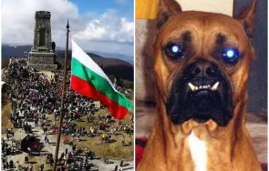 цинизмът старта предизборната кампания март светна очите баскервилското куче