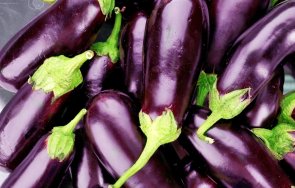 патладжанът изчезна пазарите страната