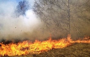пожар софия шест екипа гасят огъня кривина казичене