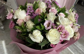 борисов трогна лили иванова повод март