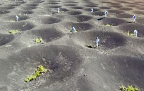 нов експеримент луната отглеждат растения