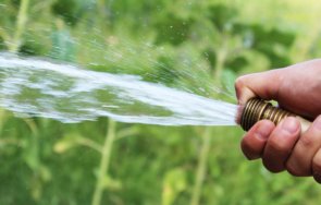 зам министър земеделието безплатна вода напояване момента