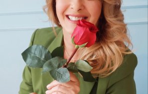 катето евро намеси скандала диана димитрова вергов