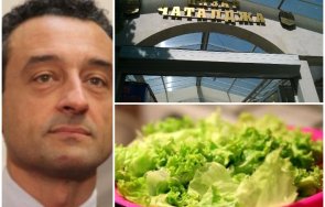 предизборни послания пазара милионерът даниел лорер пълни торбата скъпи марули краставици щял прави салата българска китка снимки