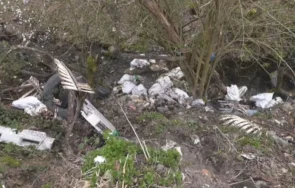 шокираща гледка изхвърлят животински останки водоема мездренско село