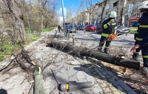 продължава разчистването щетите пловдив ураганния вятър