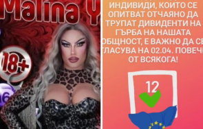 разпищолената драг малина агитира гласувайте моля положението плачевно снимки