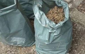 спецоперация софия ямбол задържаха двама души голямо количество дрога снимки