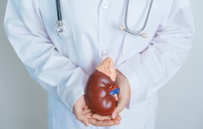 безплатни профилактични прегледи бъбречно каменна болест пълмед