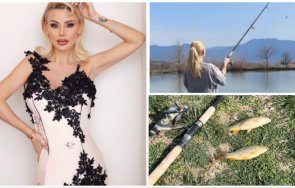 гущерова хвана златната рибка