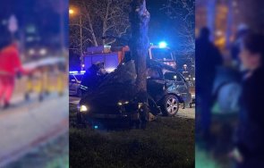 кола шибна дърво русе шофьорът бере душа