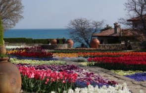 хиляди лалета грейнаха ботаническата градина балчик