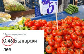 кило домати турция струват стотинки българия лева
