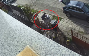 жена отвлече домашна котка преструвайки общински служител